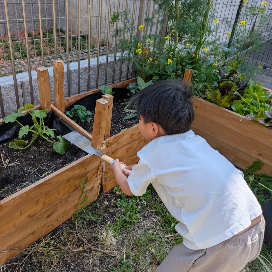 こども　DIY　家庭菜園