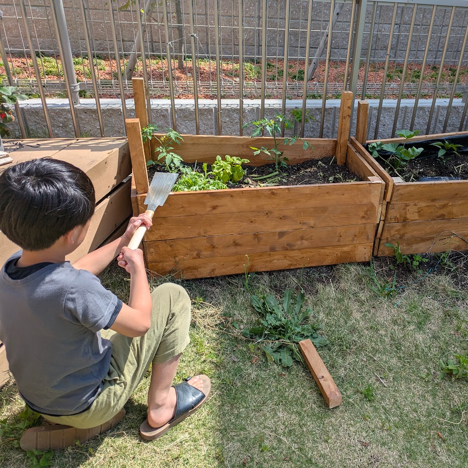 レイズドベット　コポ庭　こどもとつくる