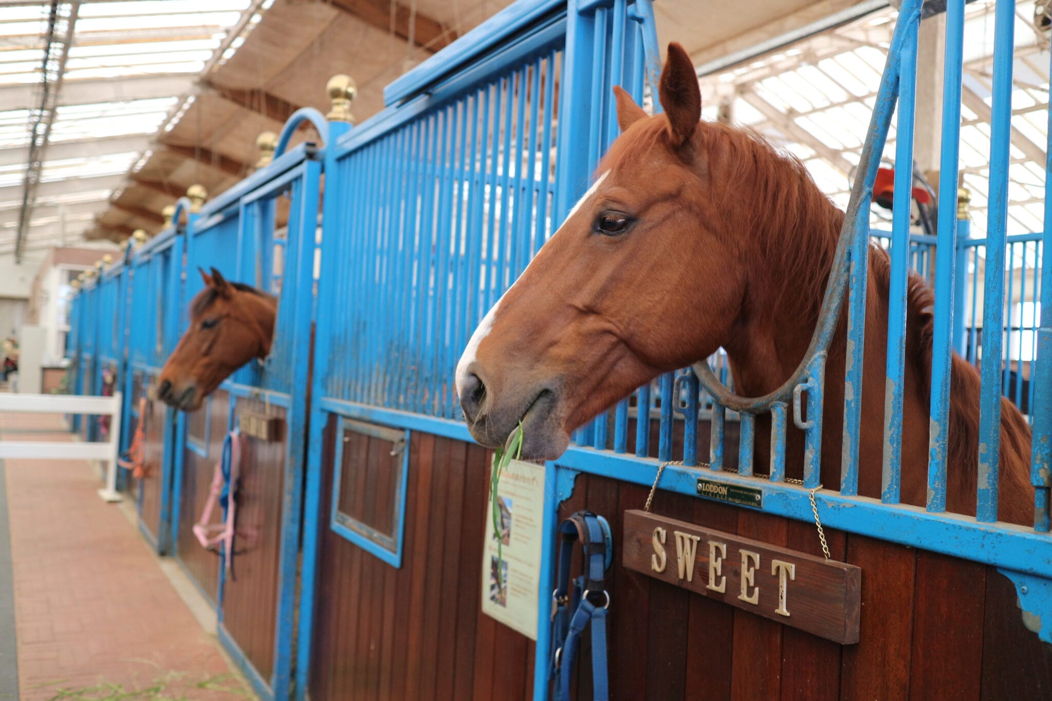 栃木県　那須ファームビレッジ