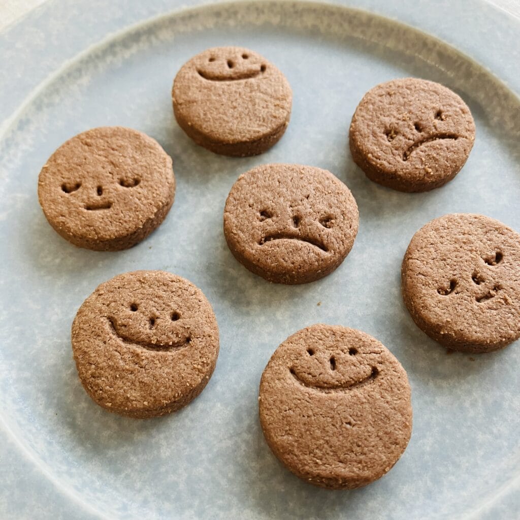 茎工房【こどものおやつ】豆乳ココアクッキが美味しくて可愛い♡