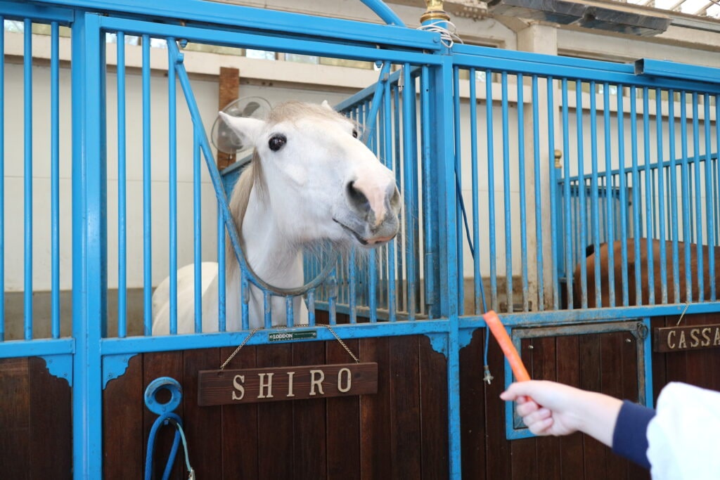栃木県　那須ファームビレッジ　那須