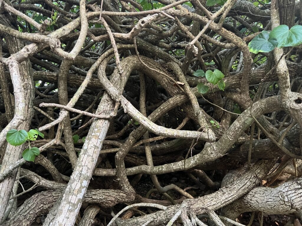 【沖縄】GWリゾートホテルステイ＠ANAインターコンチネンタルホテル万座ビーチホテル TB icoco