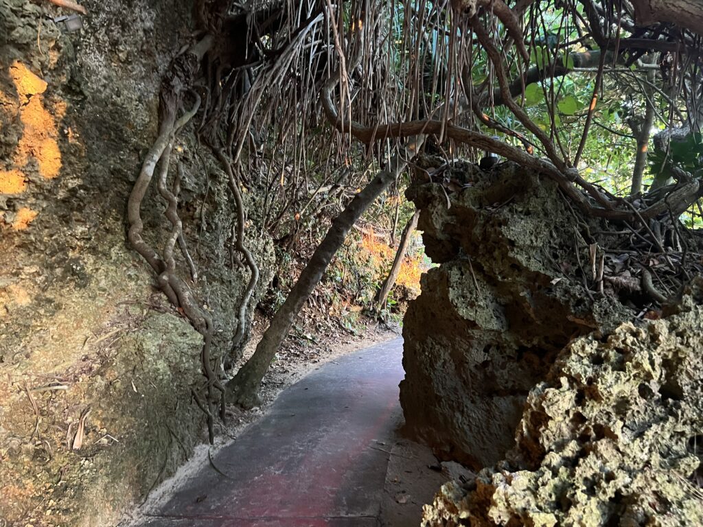 【沖縄】GWリゾートホテルステイ＠ANAインターコンチネンタルホテル万座ビーチホテル TB icoco