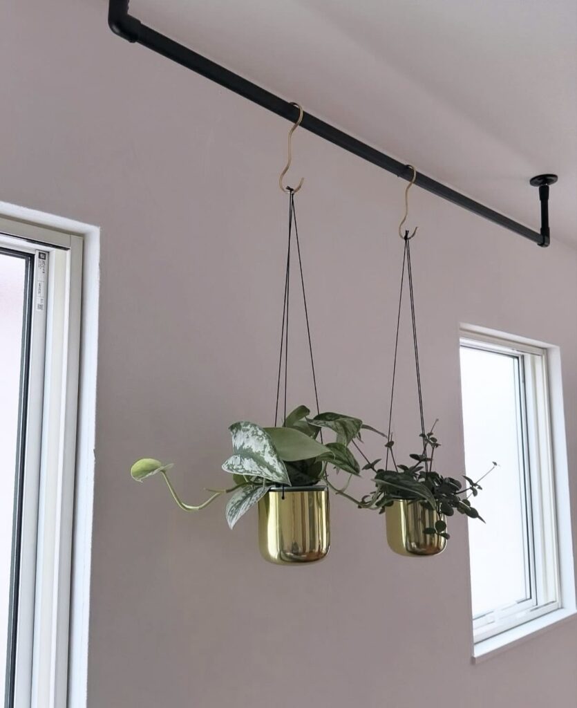 ハンギンググリーン