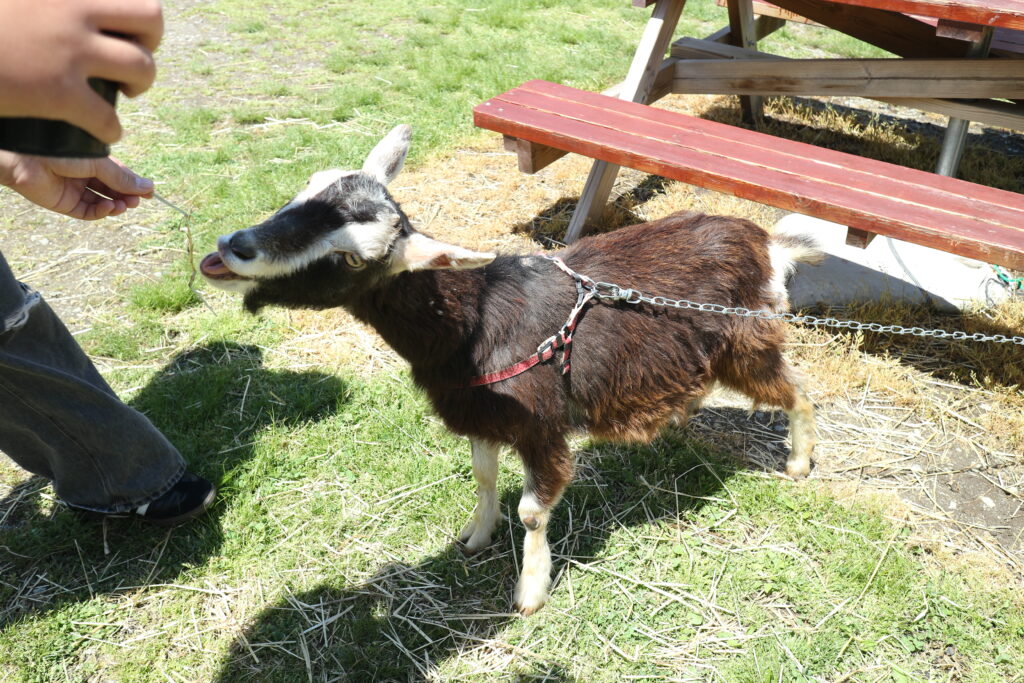 那須 牧場 栃木県