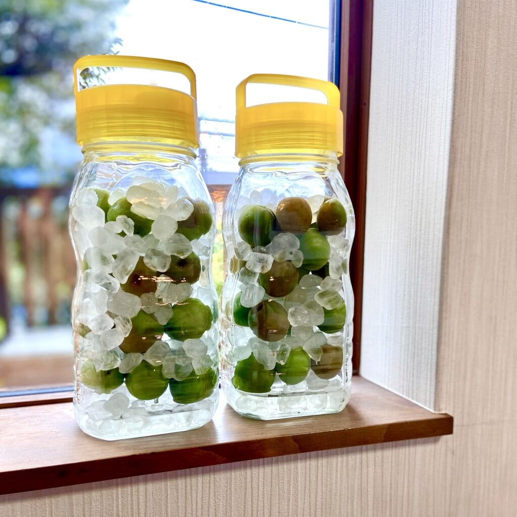 梅仕事 梅シロップ 上ジュース 季節の手仕事