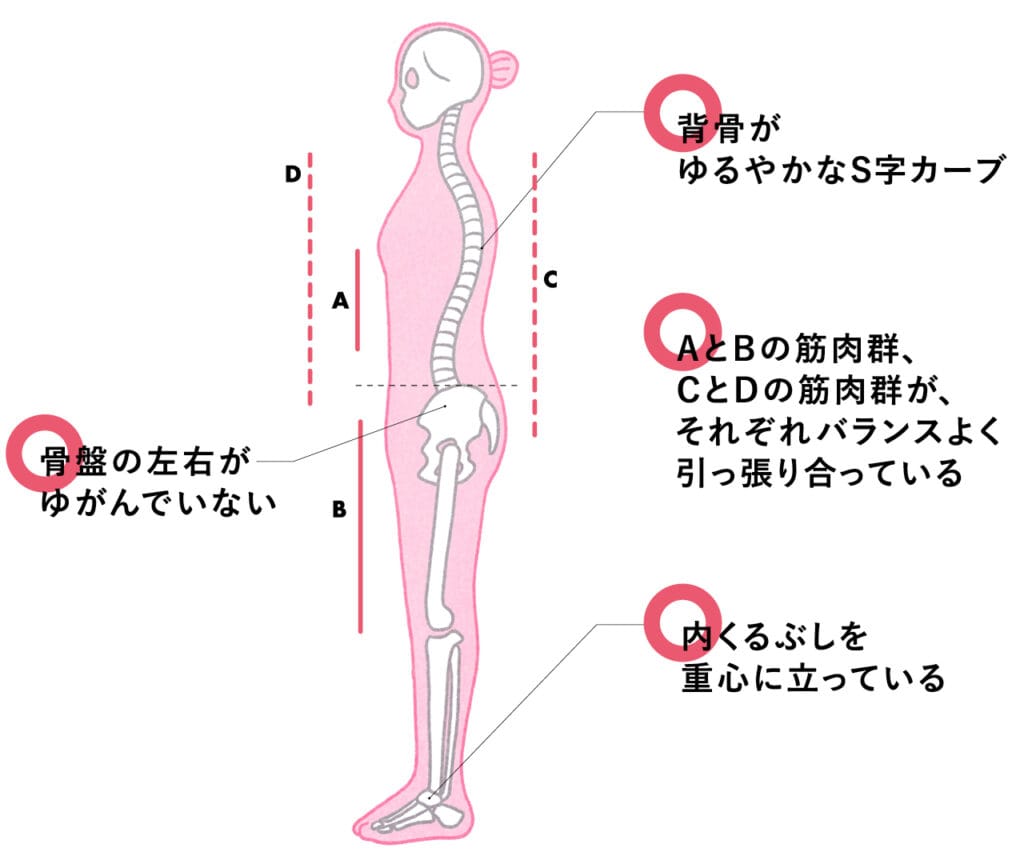 「いい姿勢」とは？イラストカット
