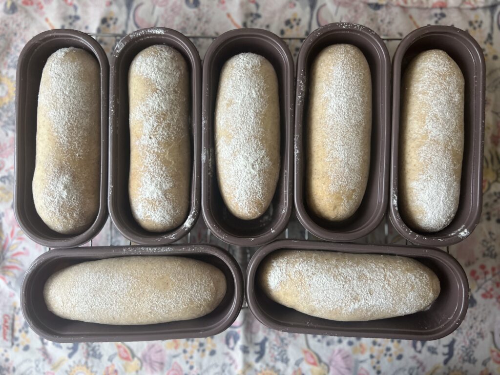 【沖縄】「寒緋桜(カンヒザクラ)の実」を使って天然酵母パン作り⑧ TB icoco