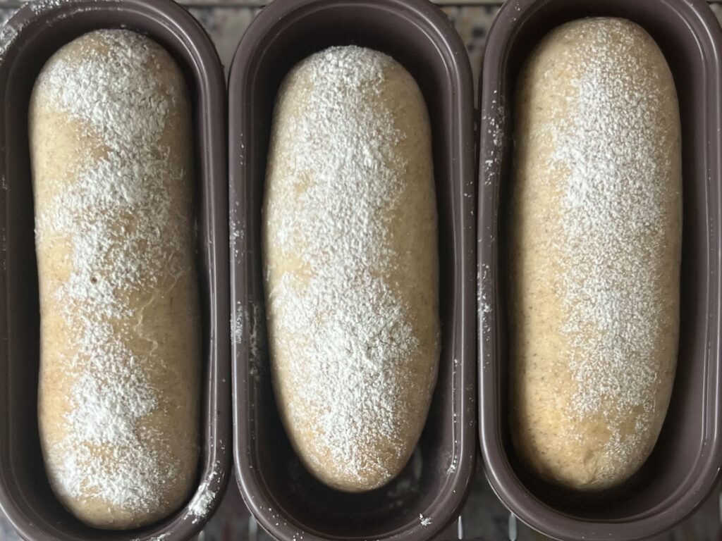 【沖縄】「寒緋桜(カンヒザクラ)の実」を使って天然酵母パン作り⑧ TB icoco