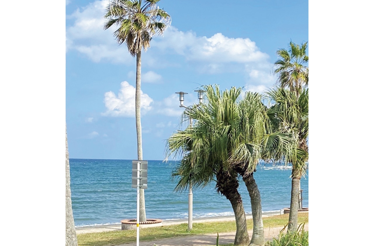 地元（宮崎）は、たまに帰るといいなあくらいだったのが、この1年ほど、地元で海を見たり昔よく食べたものを食べたりすると涙がにじむことが……。