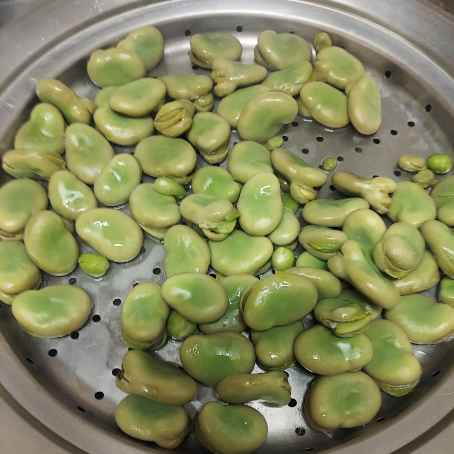 蒸しあがり　そら豆　家庭菜園