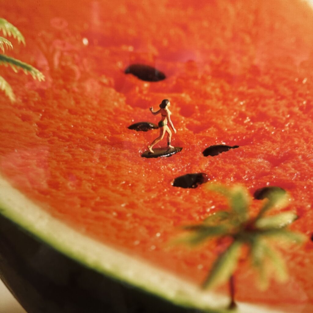 種乗りの聖地　たなかたつや　ミニチュア展