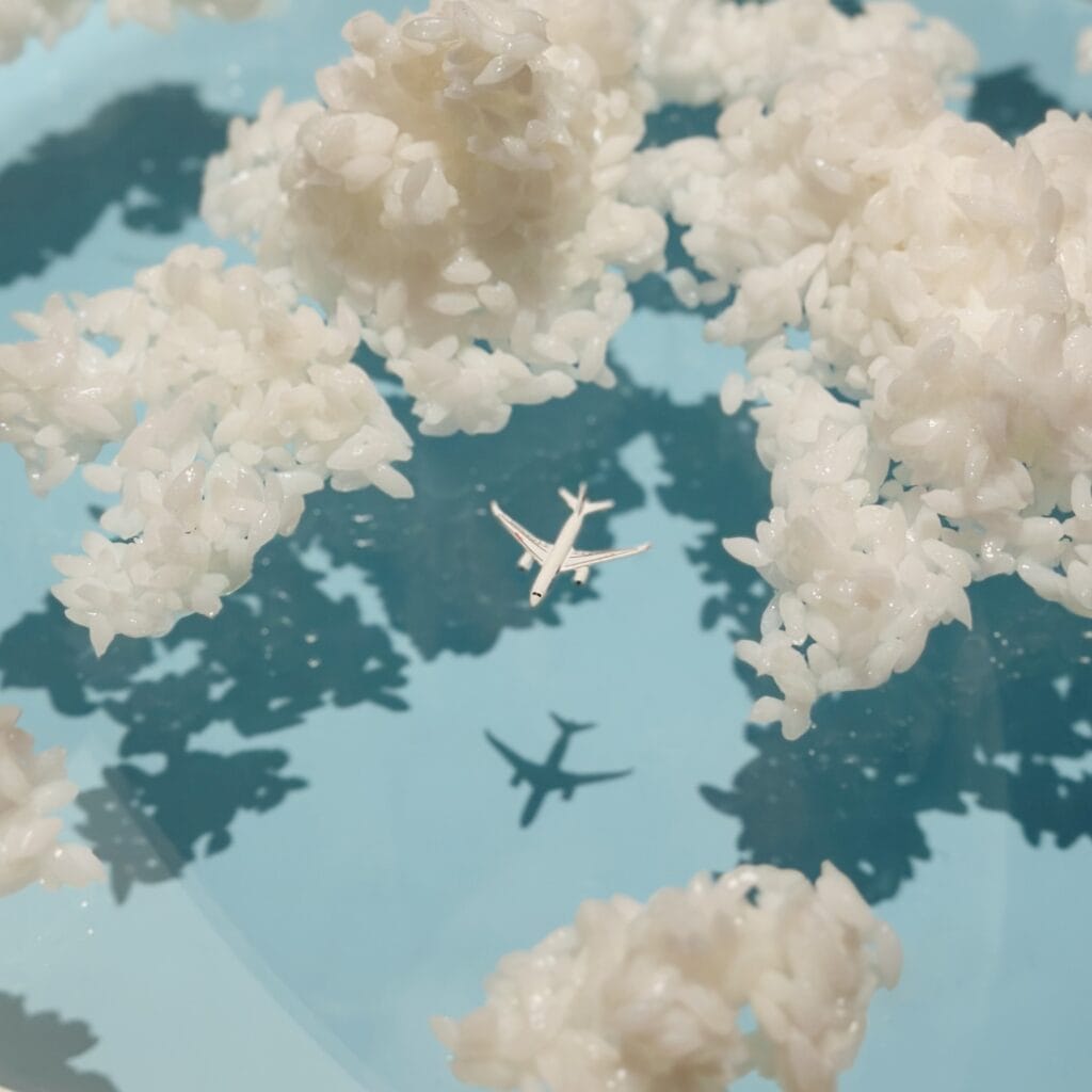 Have a rice flight! たなかたつや　ミニチュア展　21世紀美術館