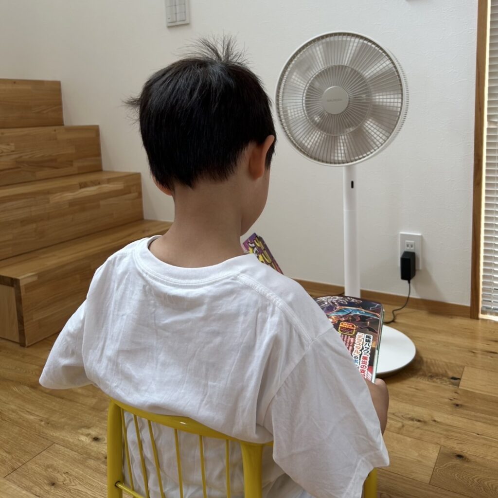 BALMUDA　扇風機　The GreenFan