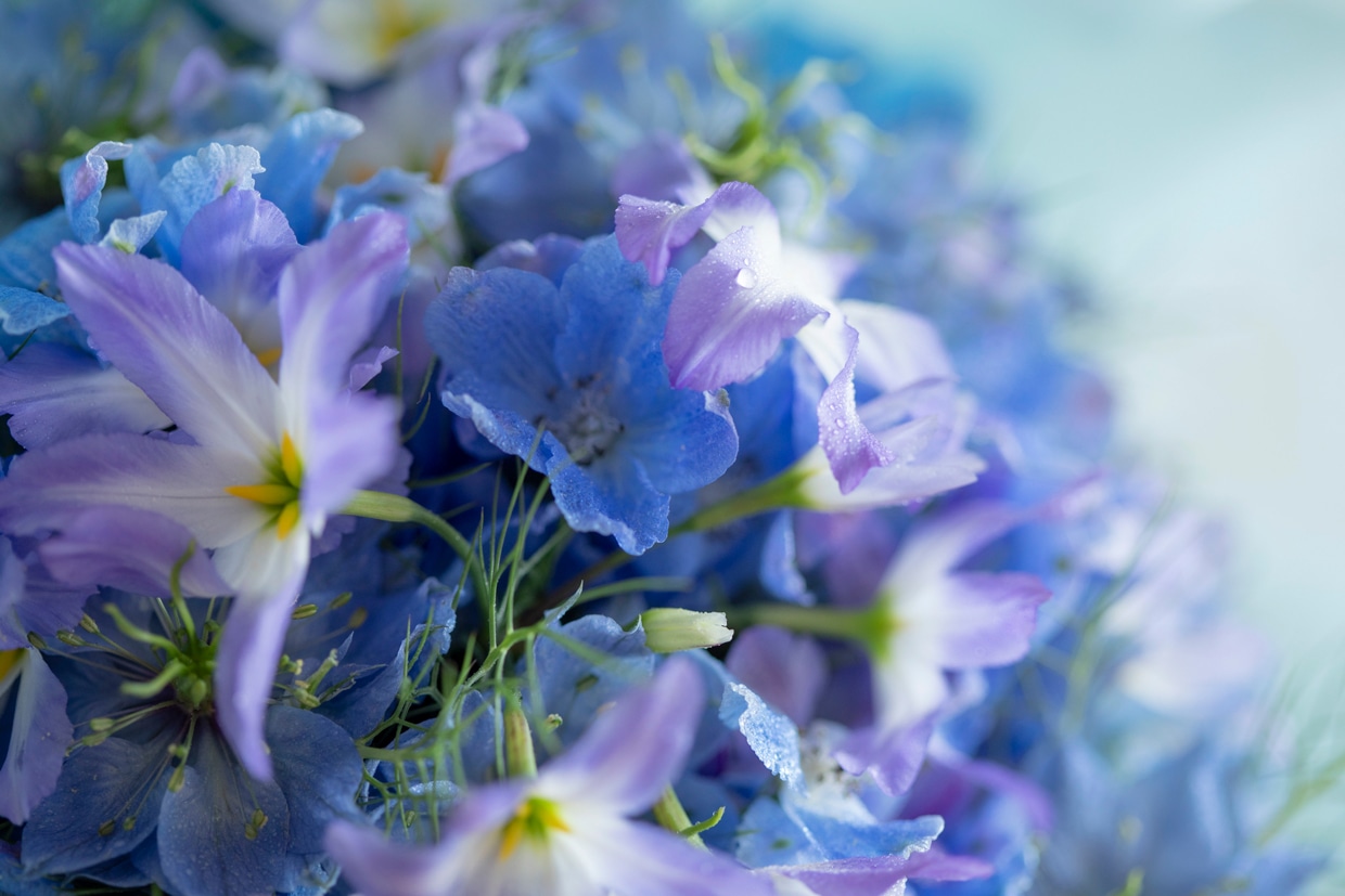 がんばらないで運気アップ！　Sayaのご自愛レッスン　5月のブーケ_アップ