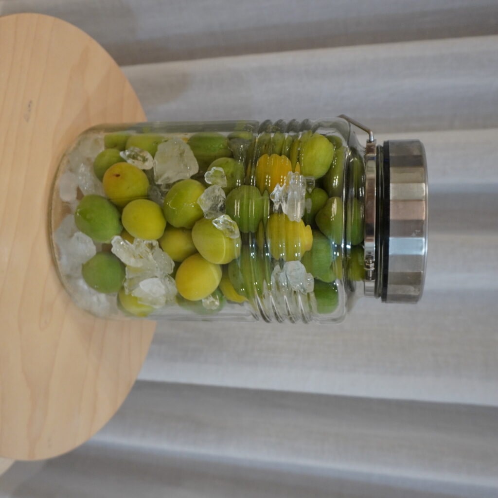 ２０２５年　梅仕込み　シロップ