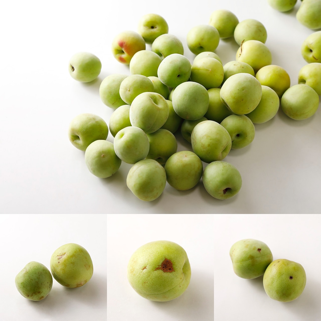 傷の有無などさまざまな状態の青梅