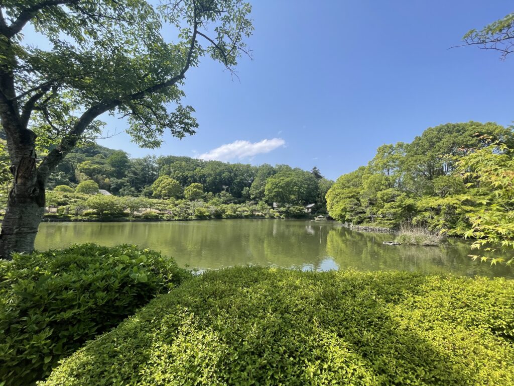2025年5月撮影の薬師池。