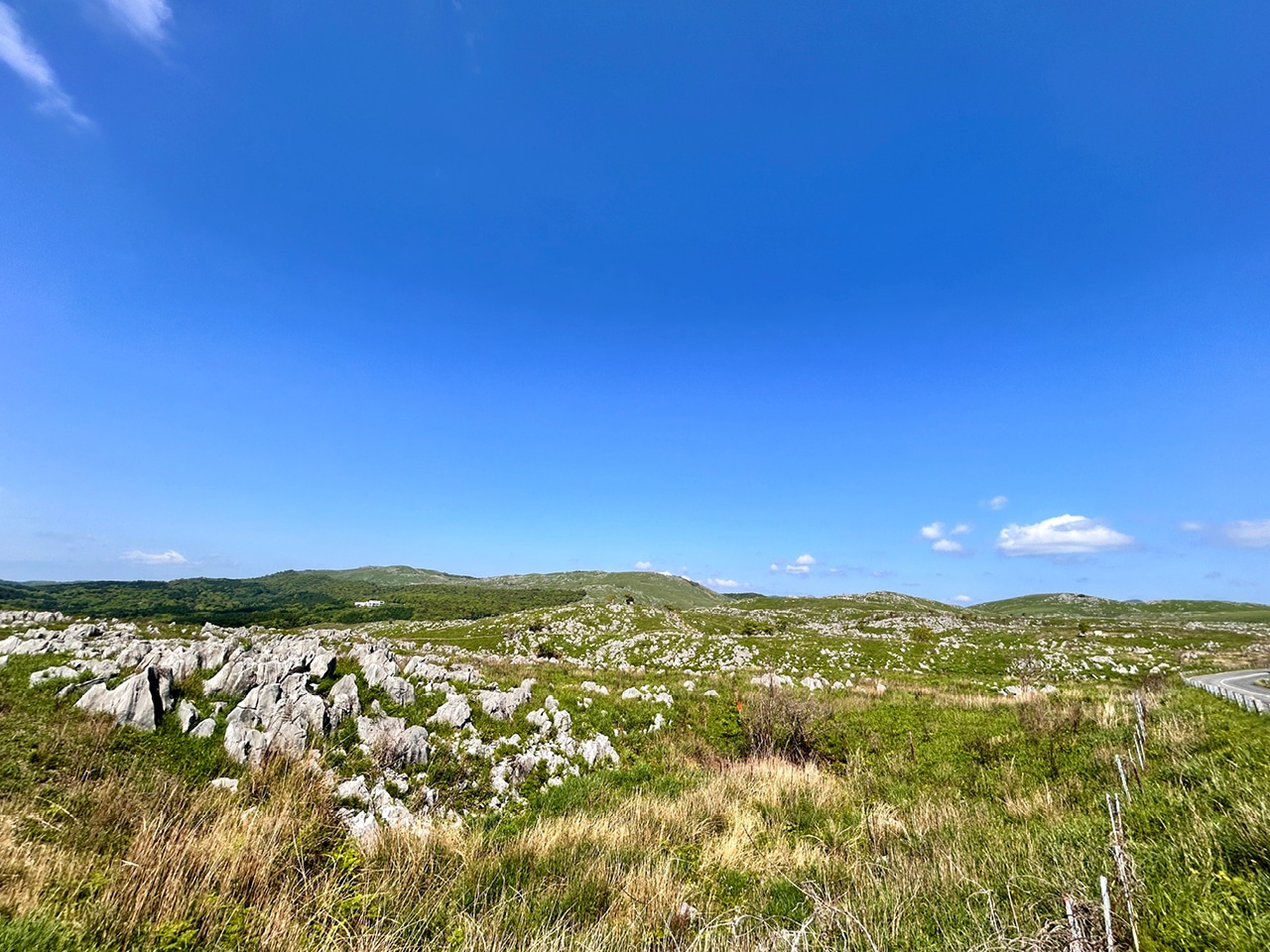 旅行会社「NEWT」の航空券＋宿プランは狙い目！　No.065 もえさん