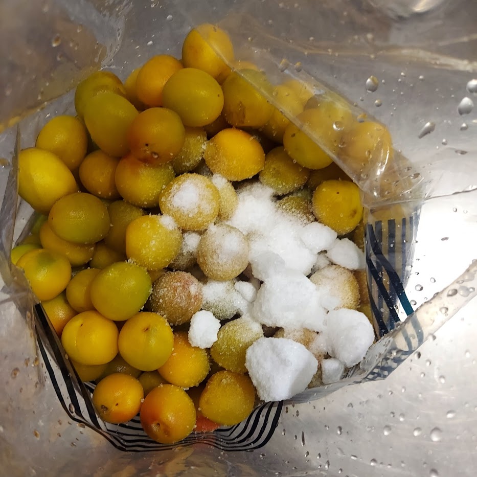 梅干し　塩　ジッパーつき保存袋