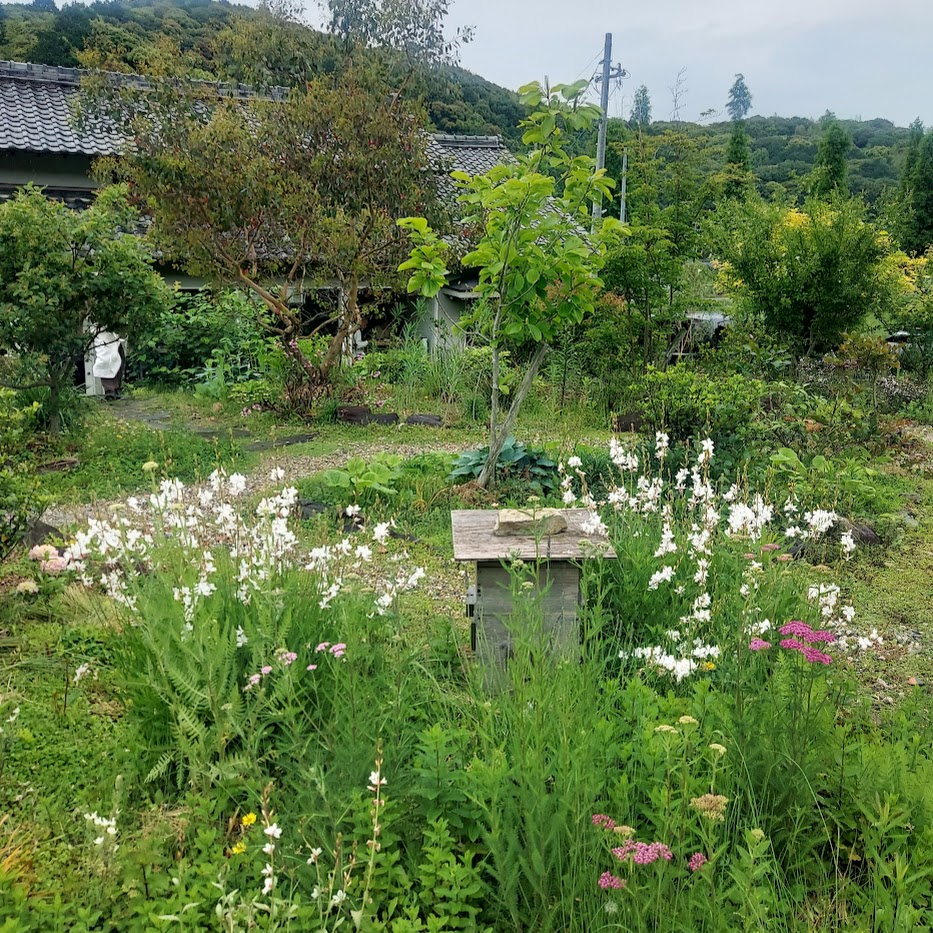 愛知県monologue　幸田町　LEE１００人隊