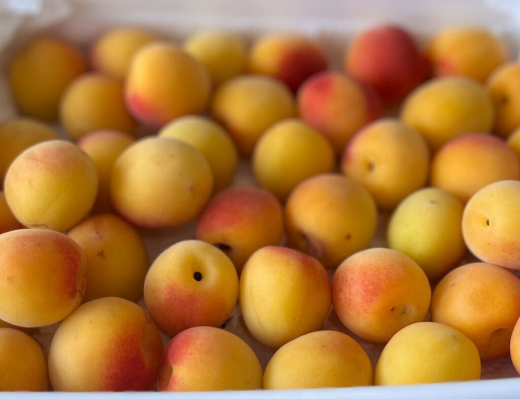 【完熟梅のスパイス漬け】今井真実さんレシピ TB icoco