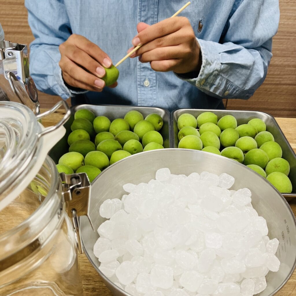 【今井 真実さんレシピ】梅シロップ作りがこの時期のお楽しみ!