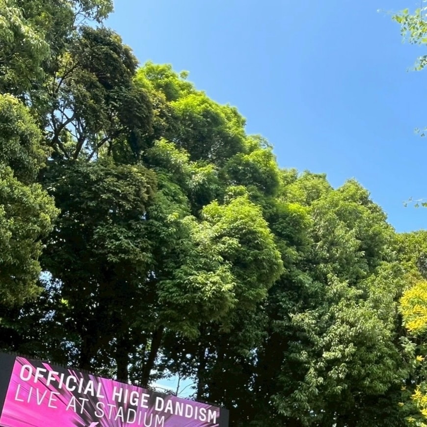 髭男 スタジアムライブ