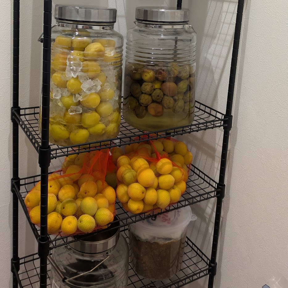 梅仕事　パントリー　追熟