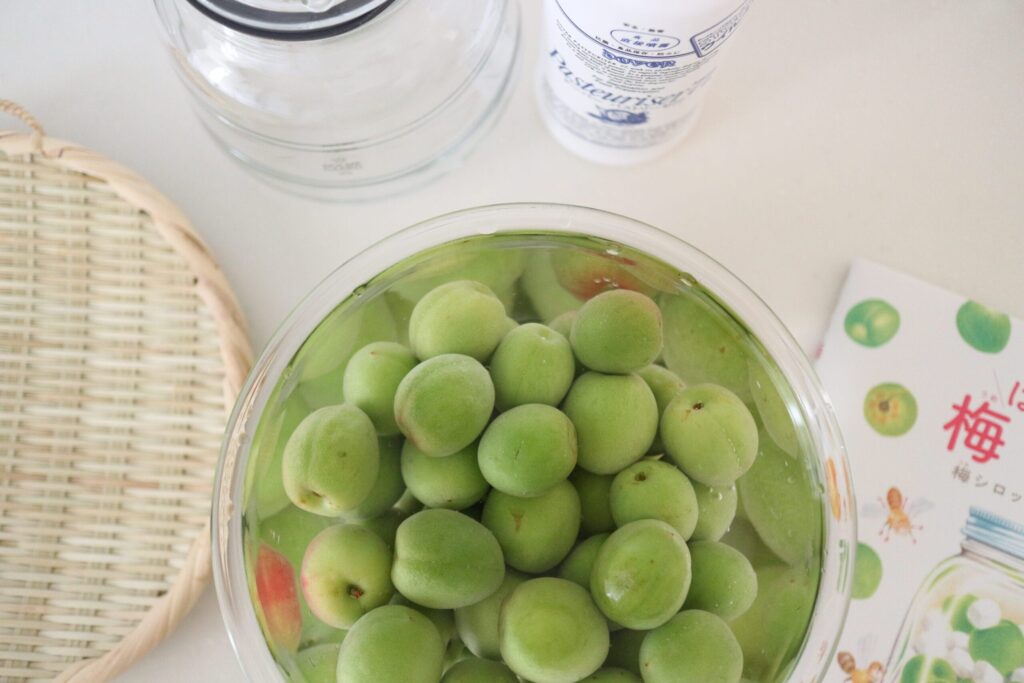 梅しごと　梅　梅シロップ