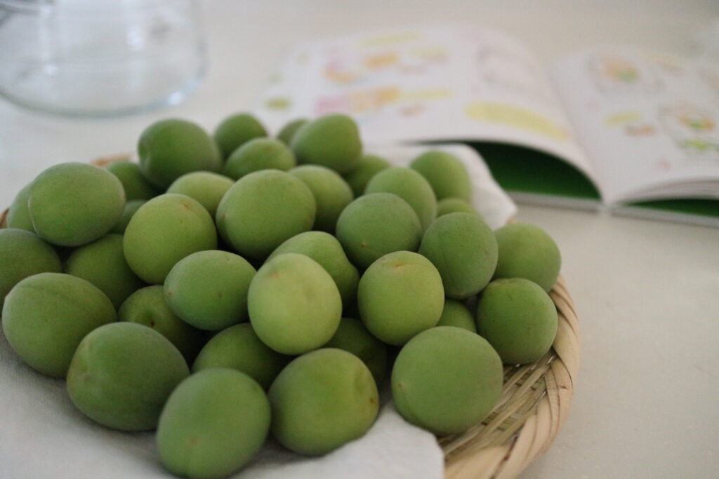 梅しごと　梅　梅シロップ