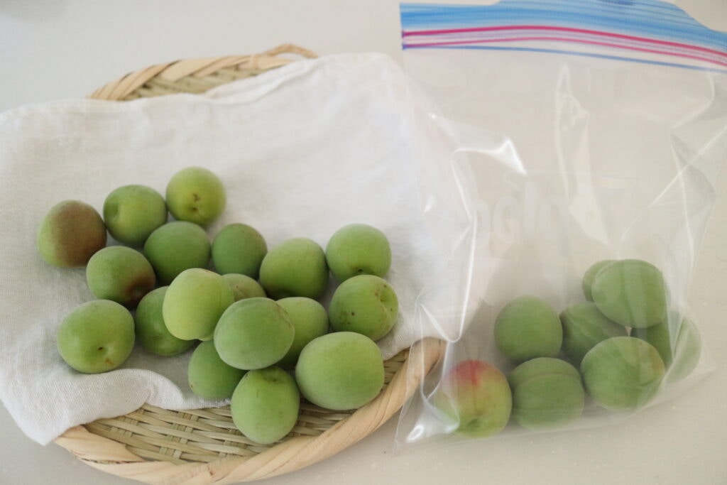 梅しごと　梅　梅シロップ