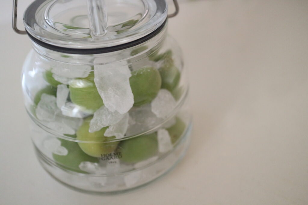 梅しごと　梅　梅シロップ