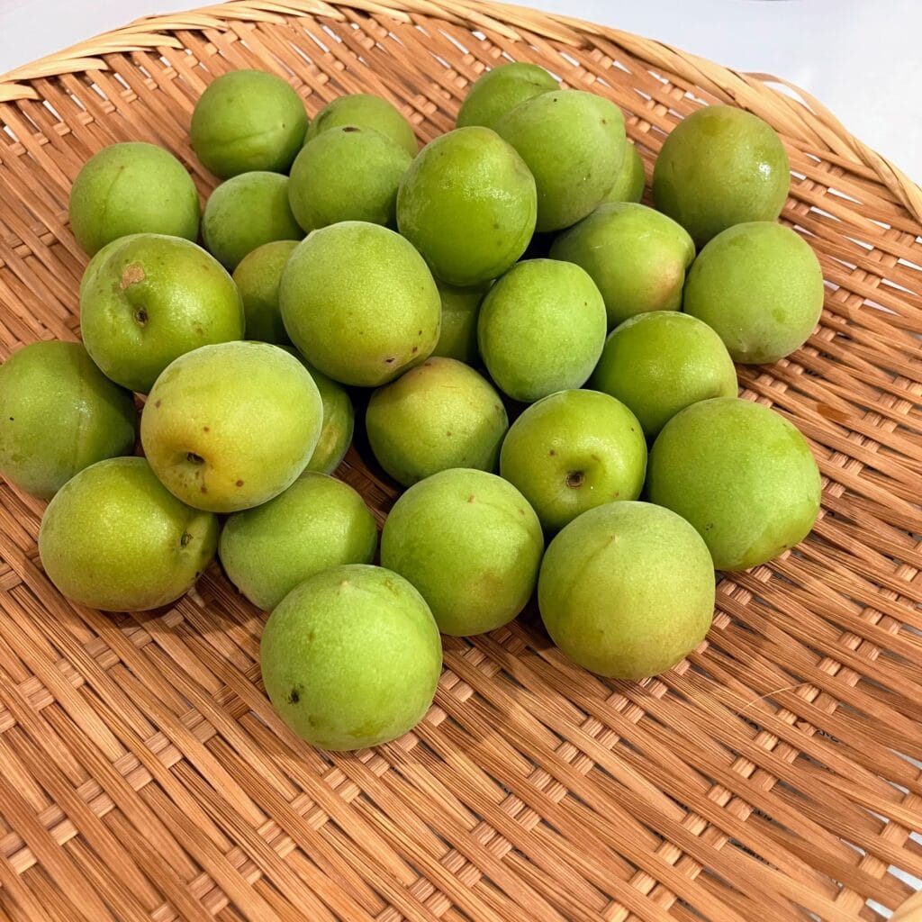 青梅　梅シロップ