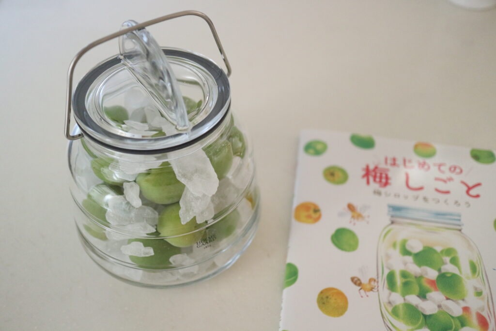 梅しごと　梅　梅シロップ