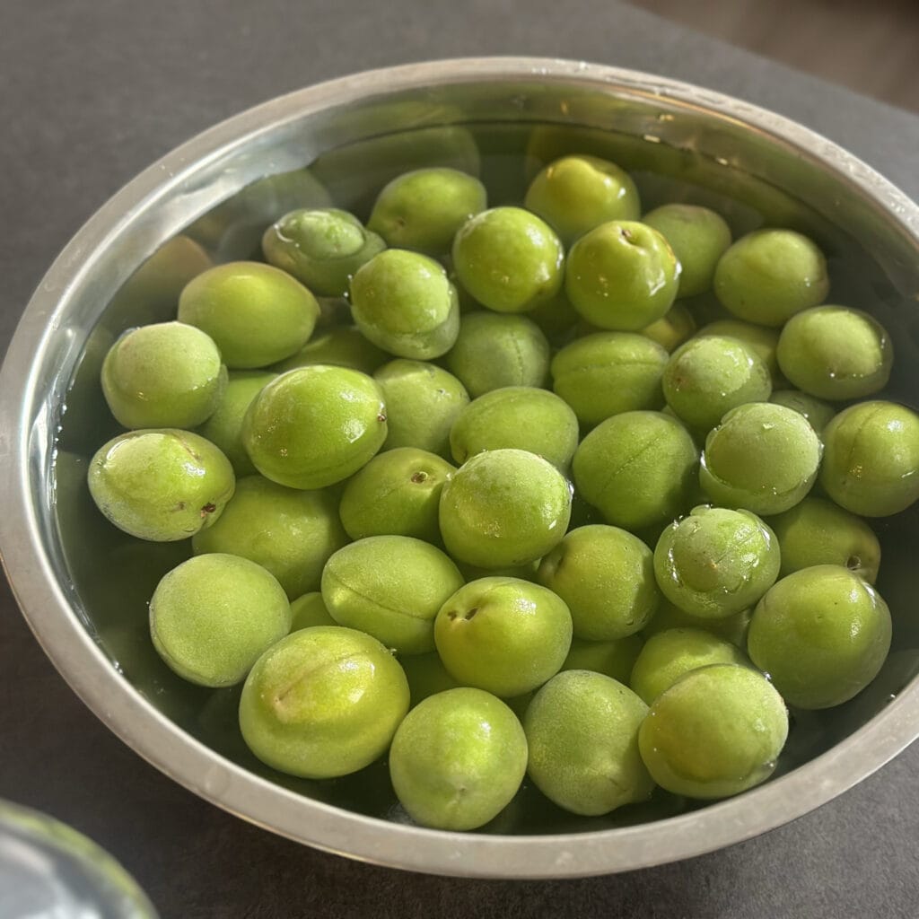 梅仕事　梅シロップづくり