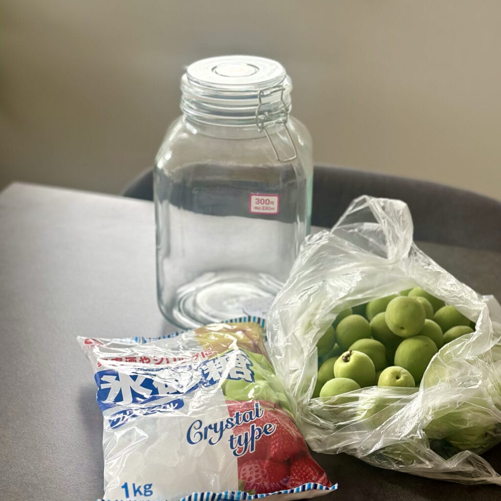 梅仕事　ダイソー