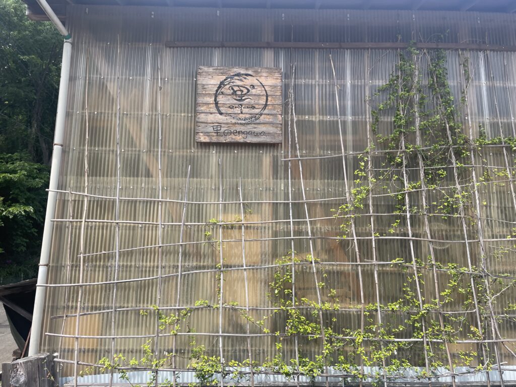 里のengawaの萬駄屋マルシェの様子。2025年6月開催時の写真2