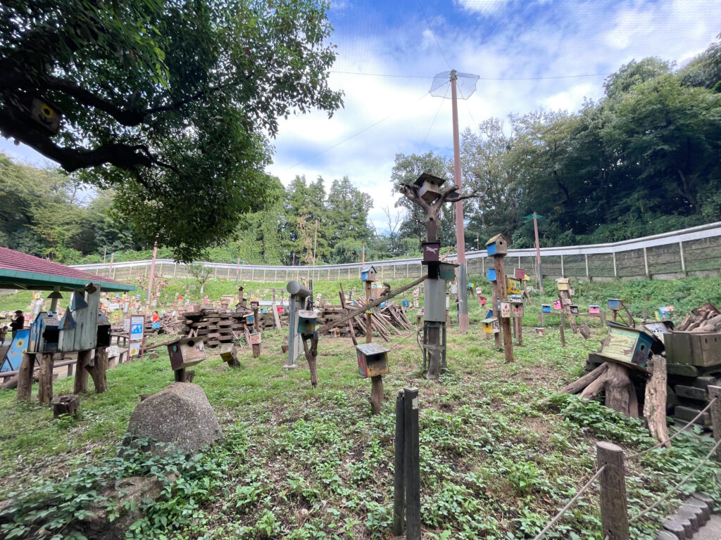 町田リス園全体の写真。網が張られている。