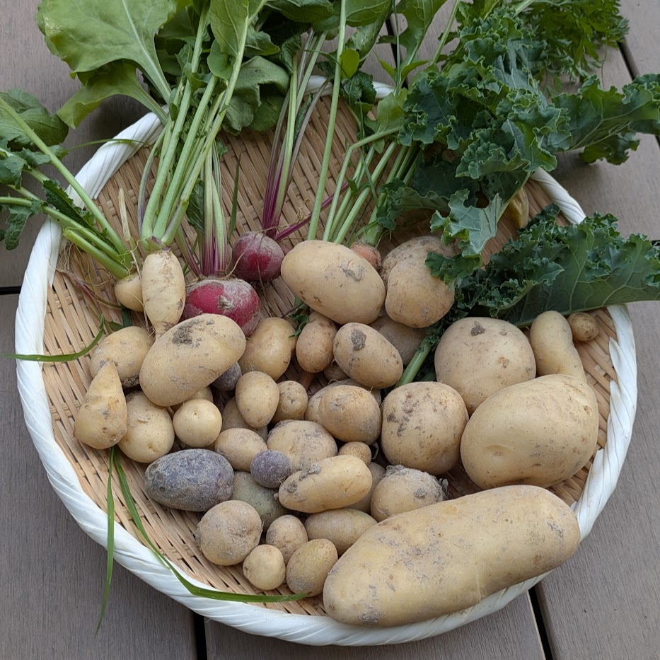 ケール　じゃがいも　人参