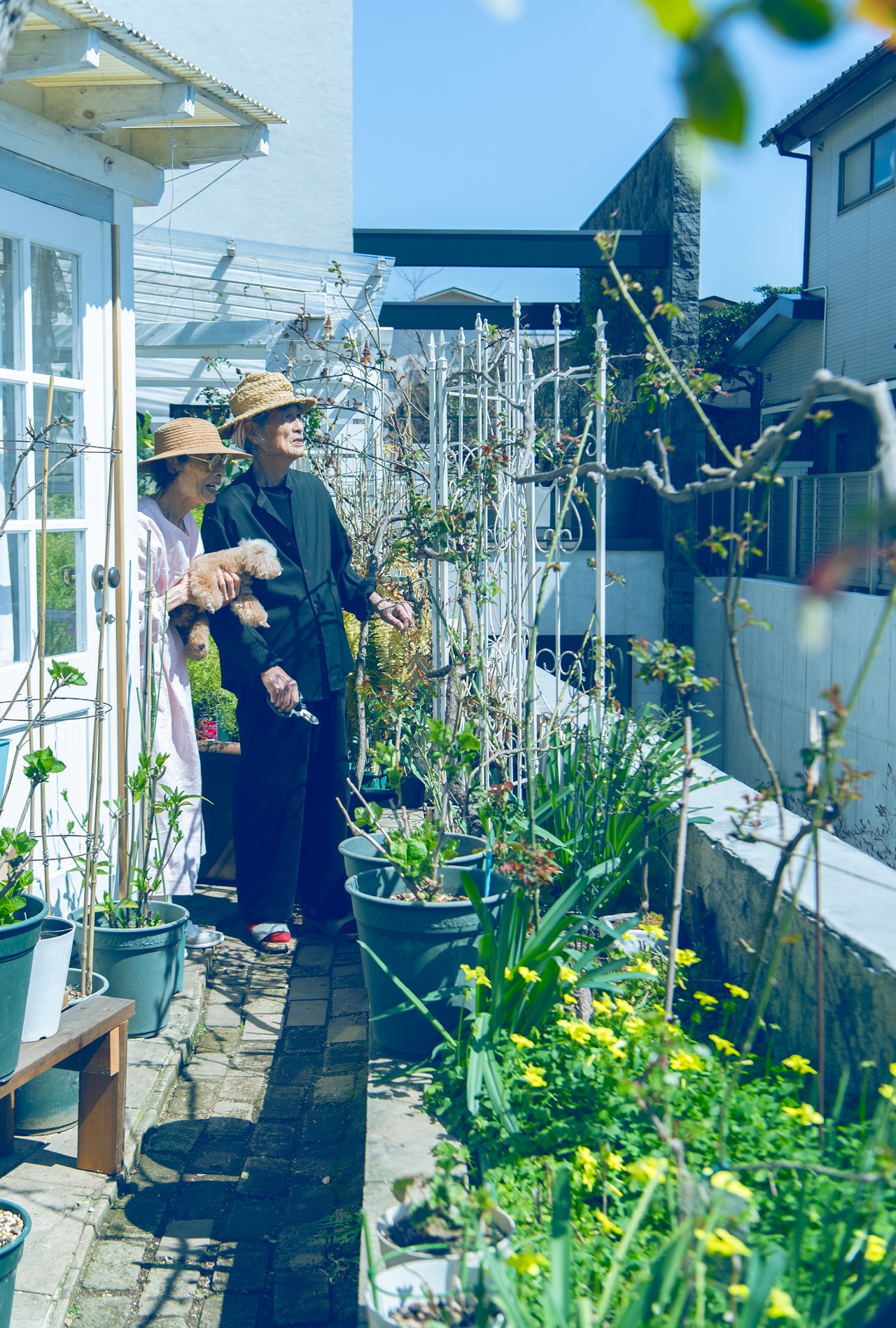 テラスで。サンルームも果樹や鉢植えでいっぱいの庭も、もちろん省三さんの手作り。初夏はバラでいっぱいになる。