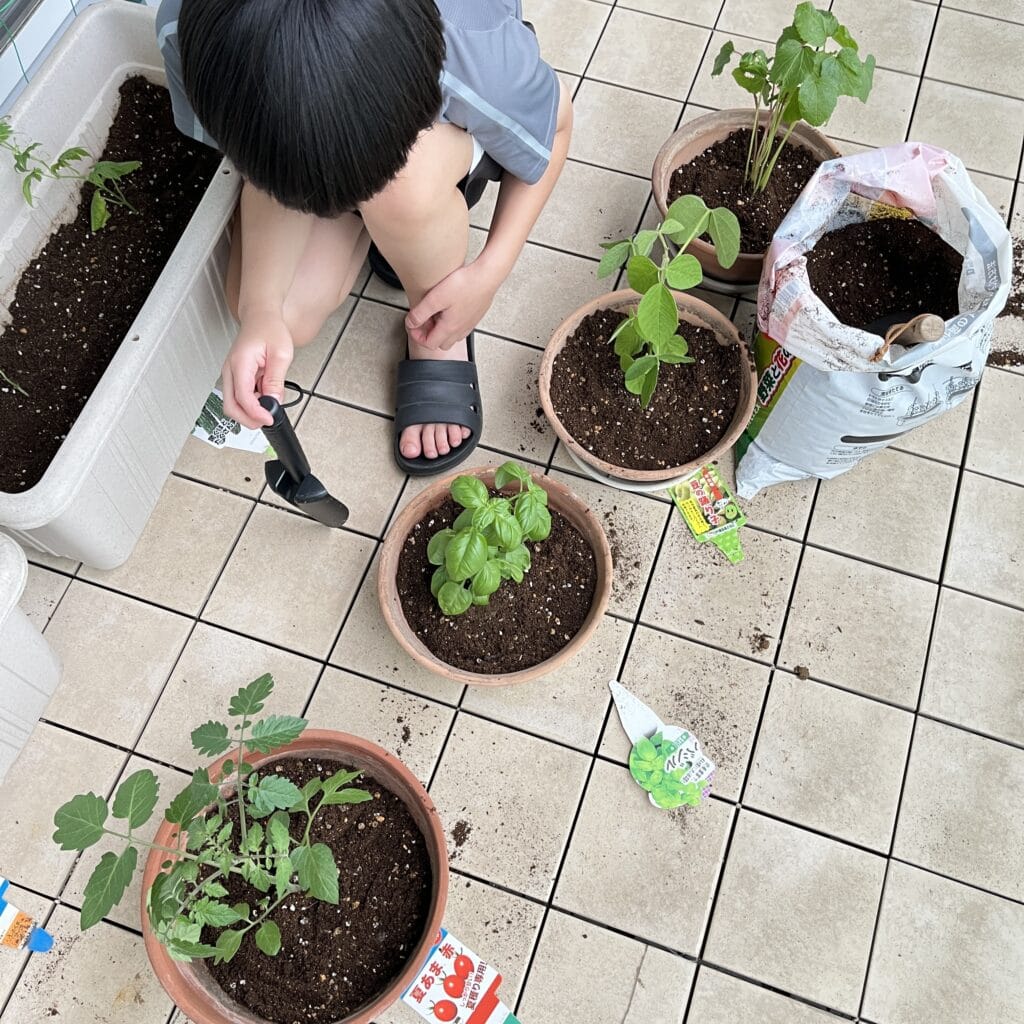 グリーンカーテン　マンション　ベランダ