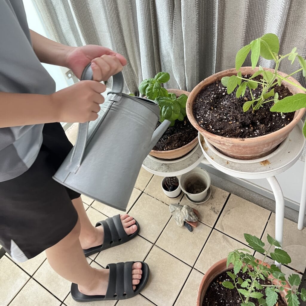 グリーンカーテン　マンション　ベランダ