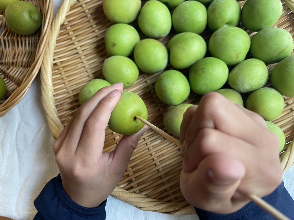 親子で梅仕事