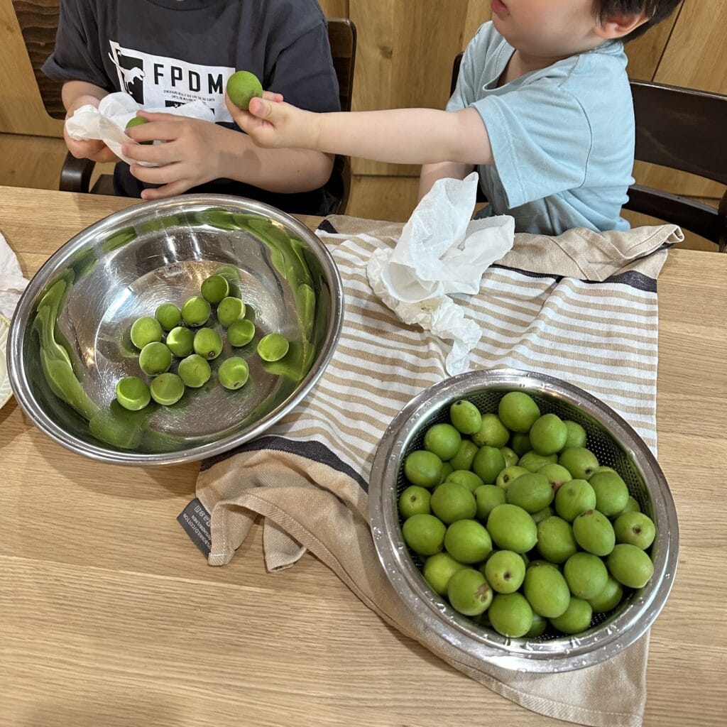 梅しごと　2025 Oisix