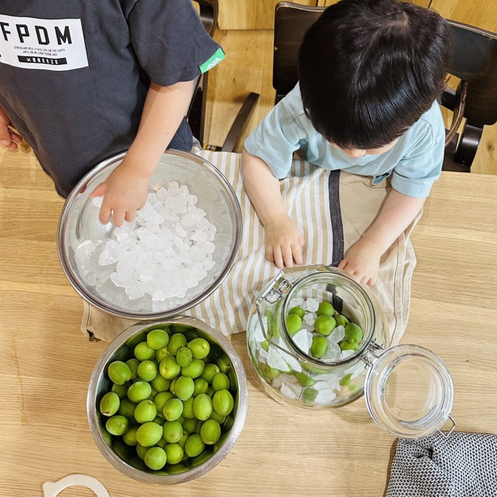 梅しごと　2025 Oisix