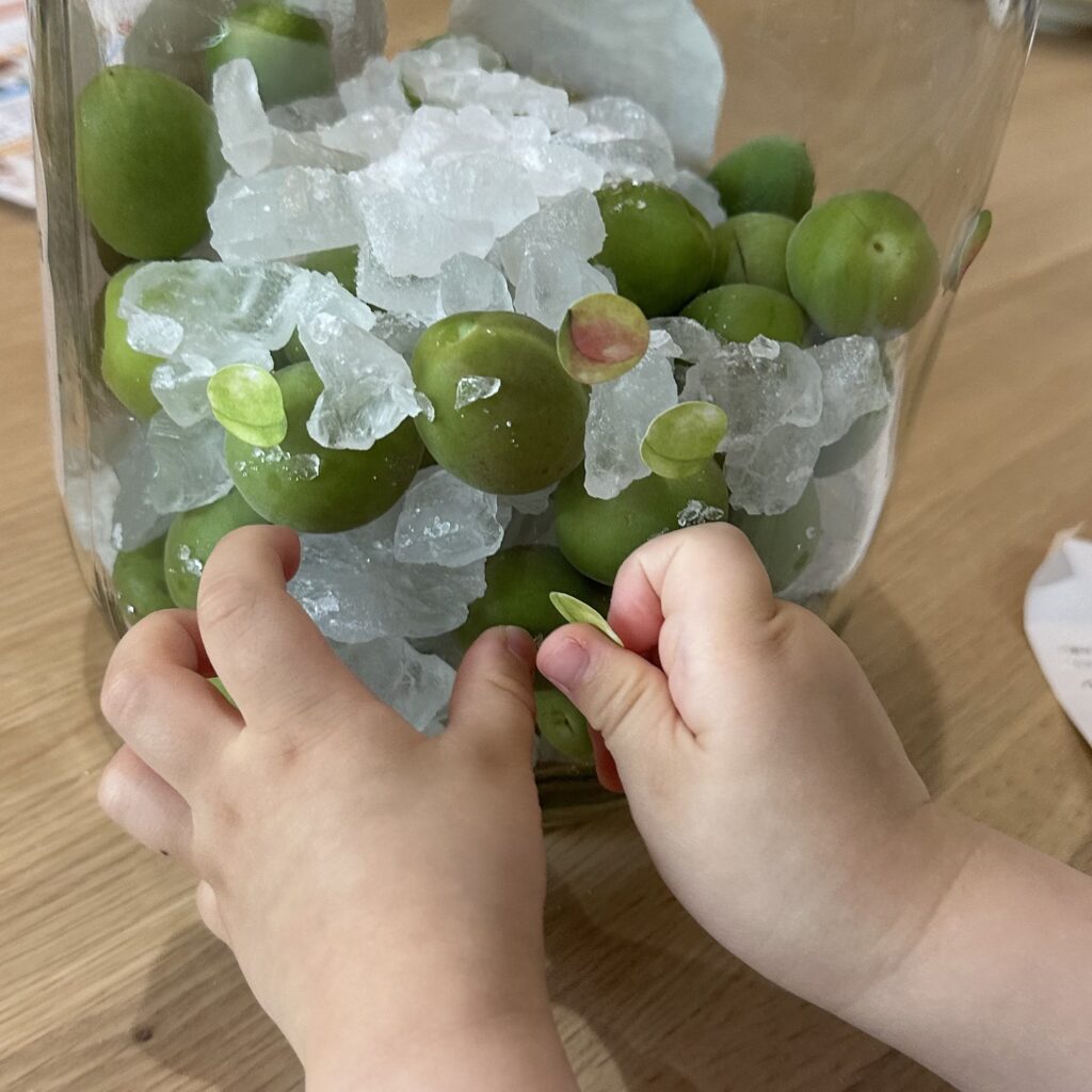 梅しごと　2025 Oisix