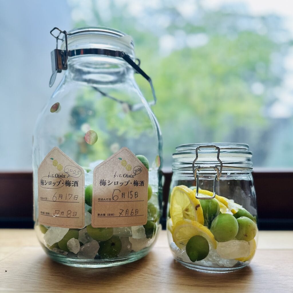 Oisix 梅シロップ　梅仕事