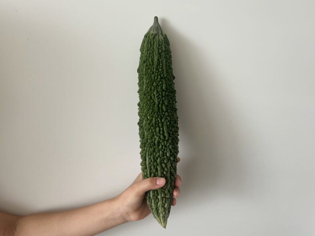 「ゴーヤーチャンプルー」始めました TB icoco