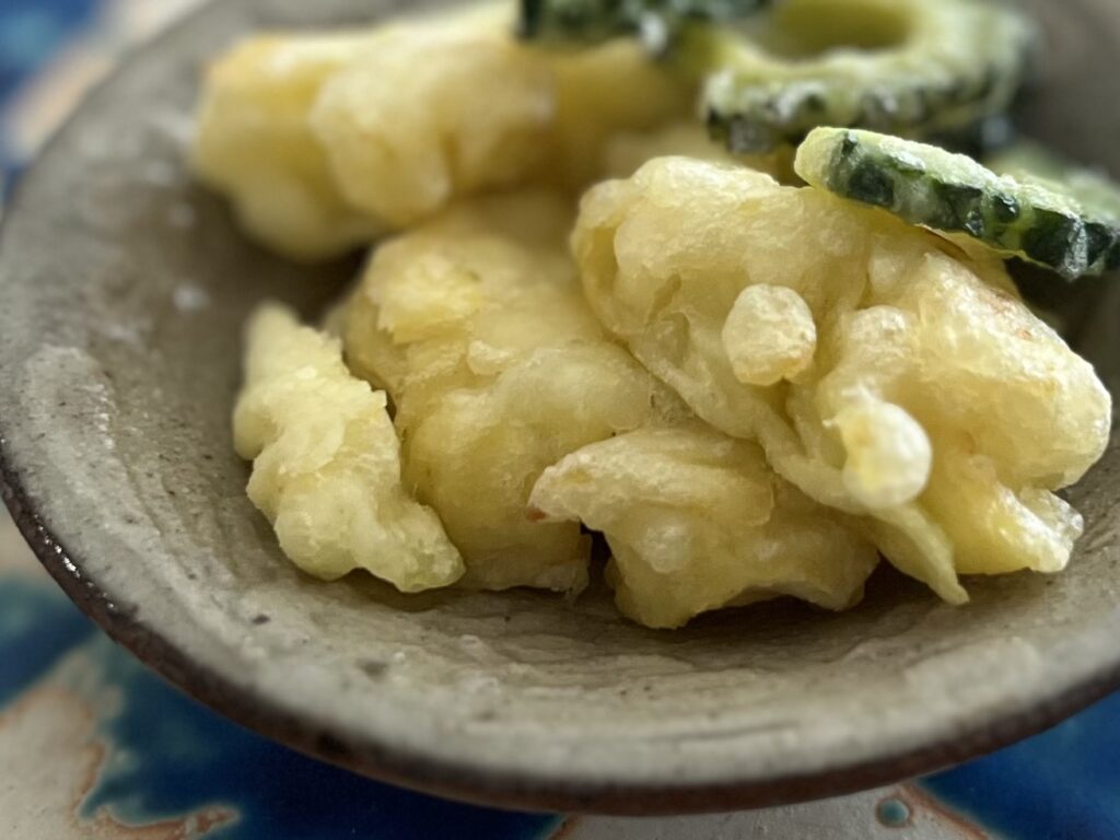 「ゴーヤーチャンプルー」始めました TB icoco